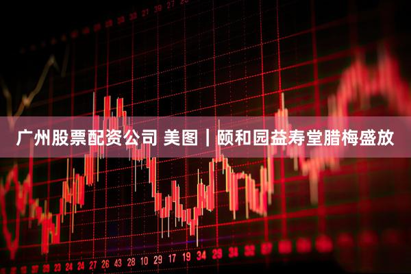 广州股票配资公司 美图｜颐和园益寿堂腊梅盛放