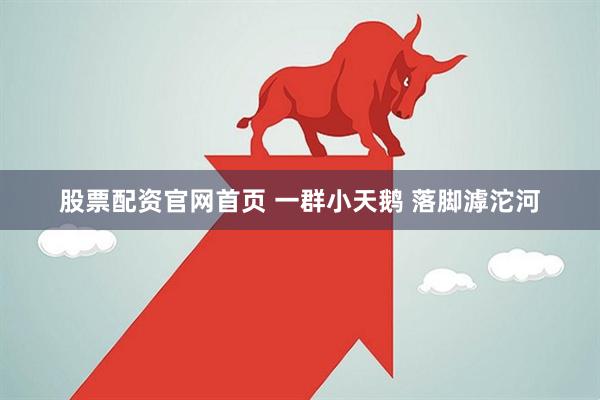 股票配资官网首页 一群小天鹅 落脚滹沱河