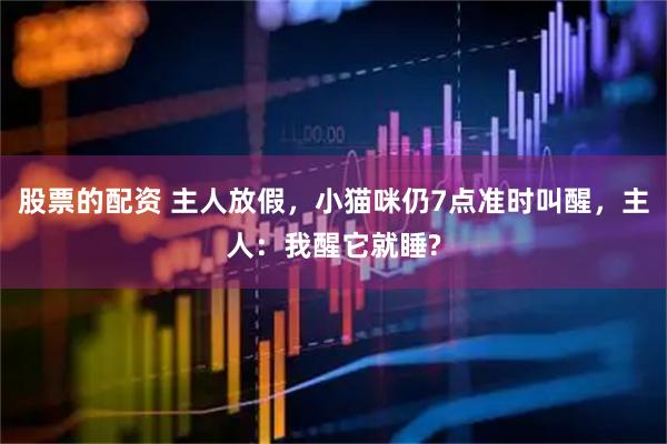 股票的配资 主人放假，小猫咪仍7点准时叫醒，主人：我醒它就睡?