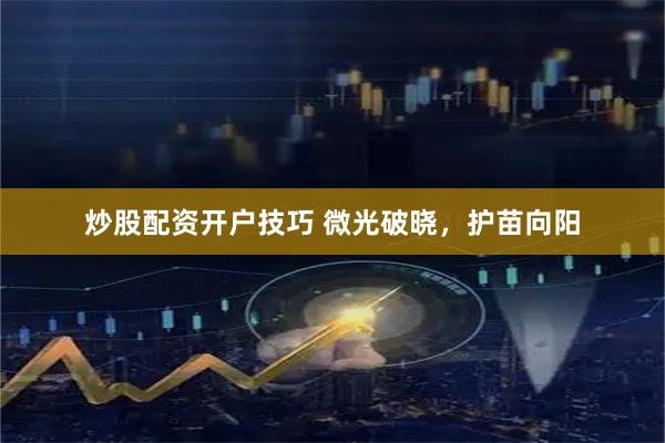 炒股配资开户技巧 微光破晓，护苗向阳